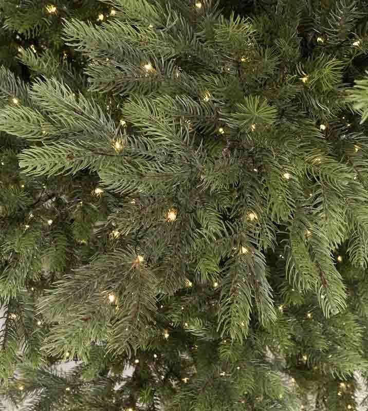 Enchanted White Spruce - Image 5