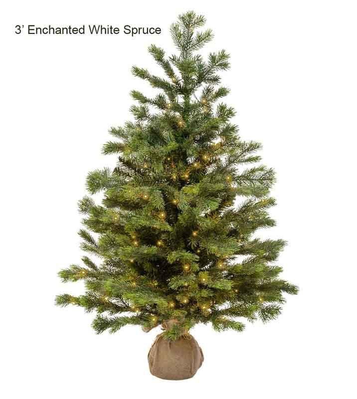 Enchanted White Spruce - Image 12
