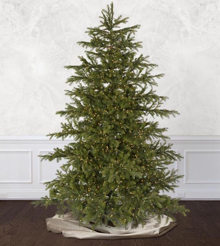 Enchanted White Spruce - Image 13