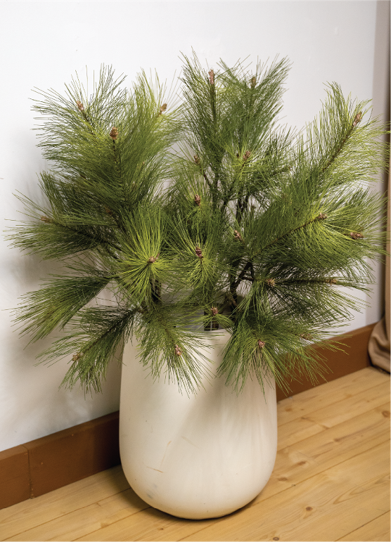 Long Needle Pine Branch with Cone 38" - Image 2