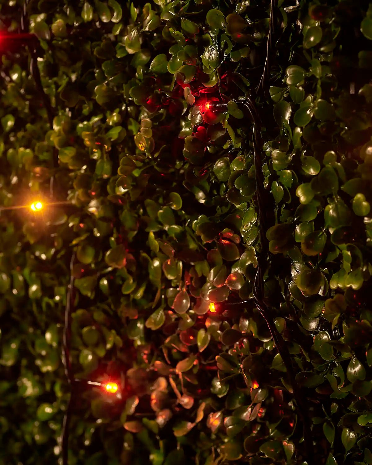 Home Series Connectable String Lights, Autumn - Image 5