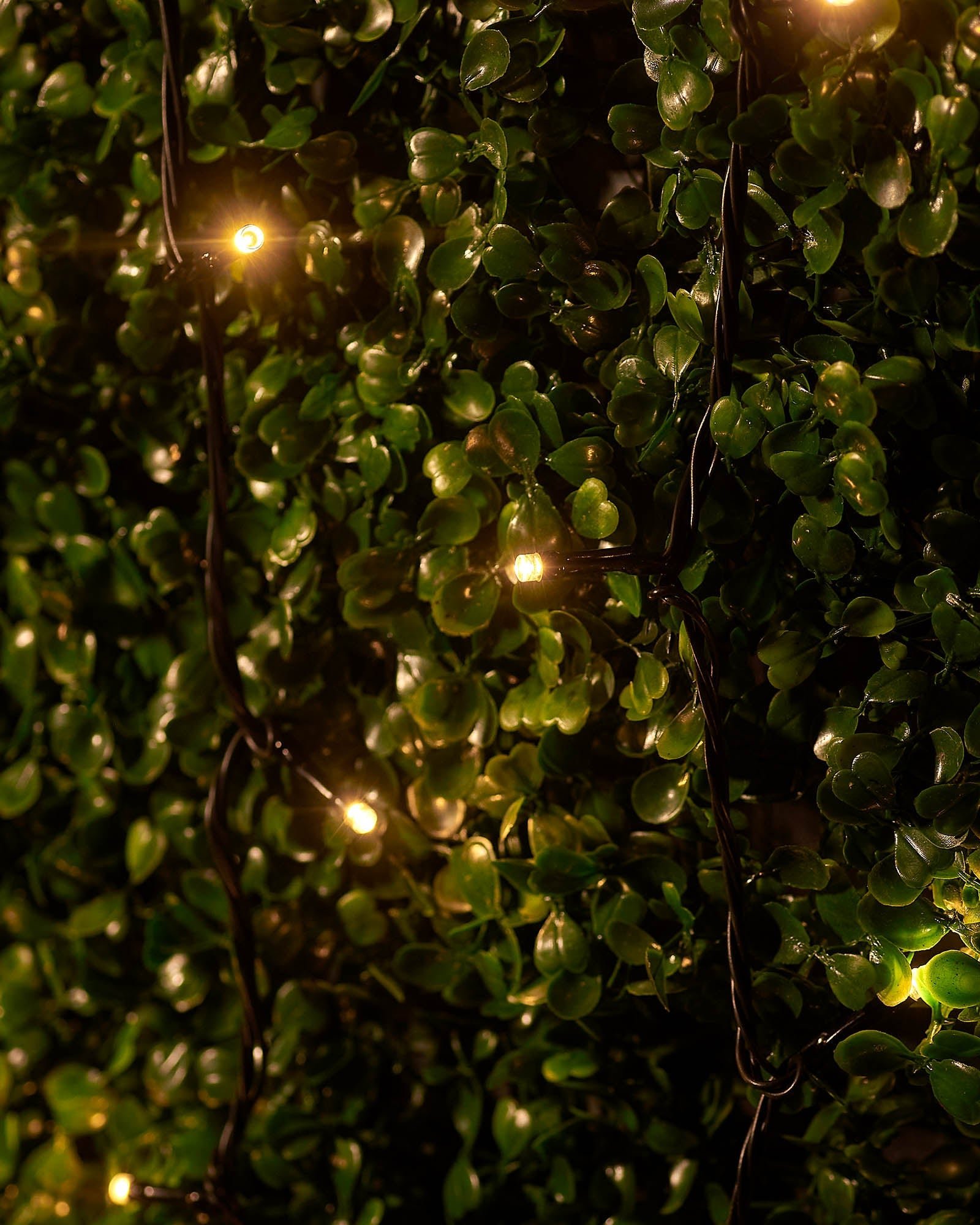 Home Series Connectable String Lights, Warm White - Image 5