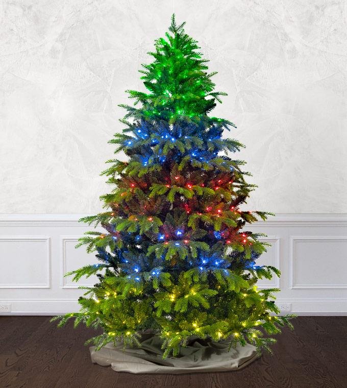 5' Magic Fir Tree - Sparkling RGB LED - Image 9