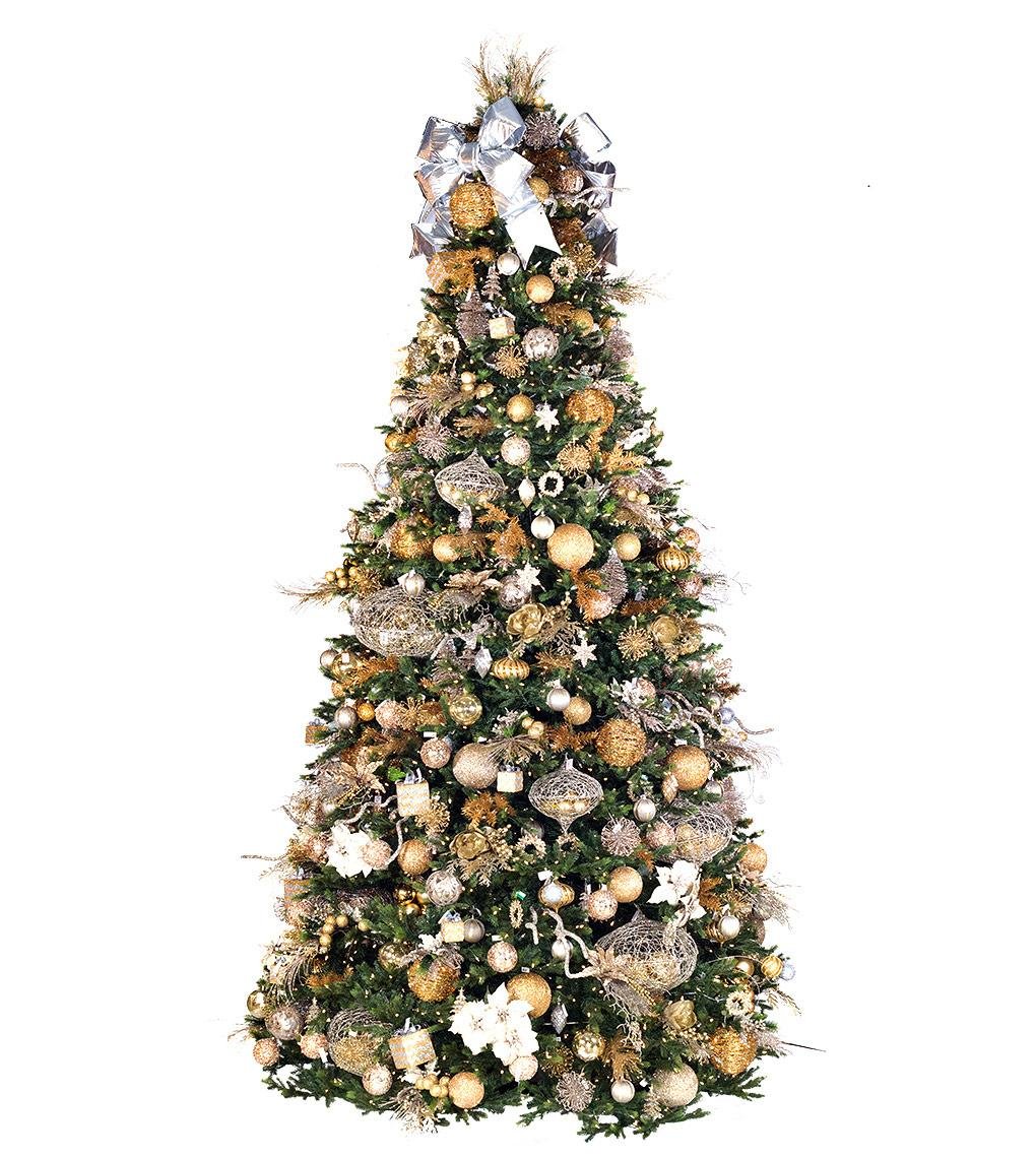 10' Midland Wexford Spruce - Clear LED - Image 3