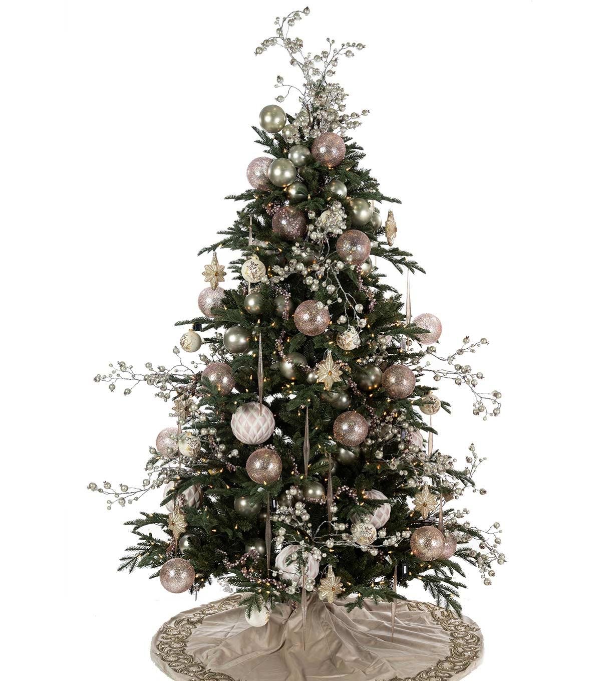 Mountain Frasier Fir - Image 9