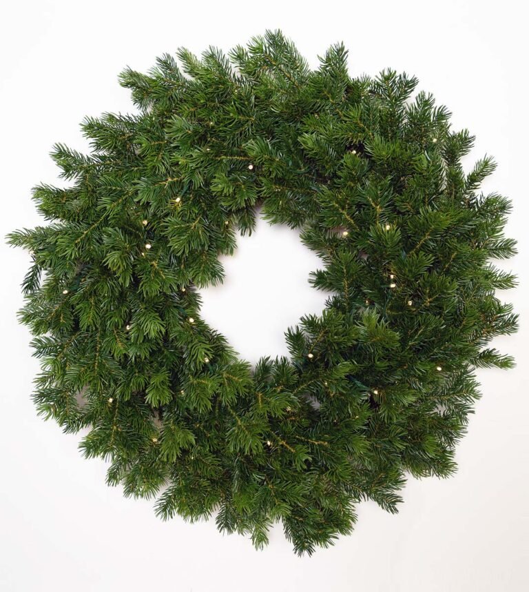 24" Natural Douglas Wreath - Battery-Operated Clear LED