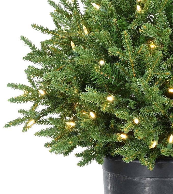 30" Norway Spruce Urn Filler - Battery-Operated Clear LED - Image 2