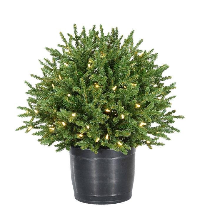 30" Norway Spruce Urn Filler - Battery-Operated Clear LED
