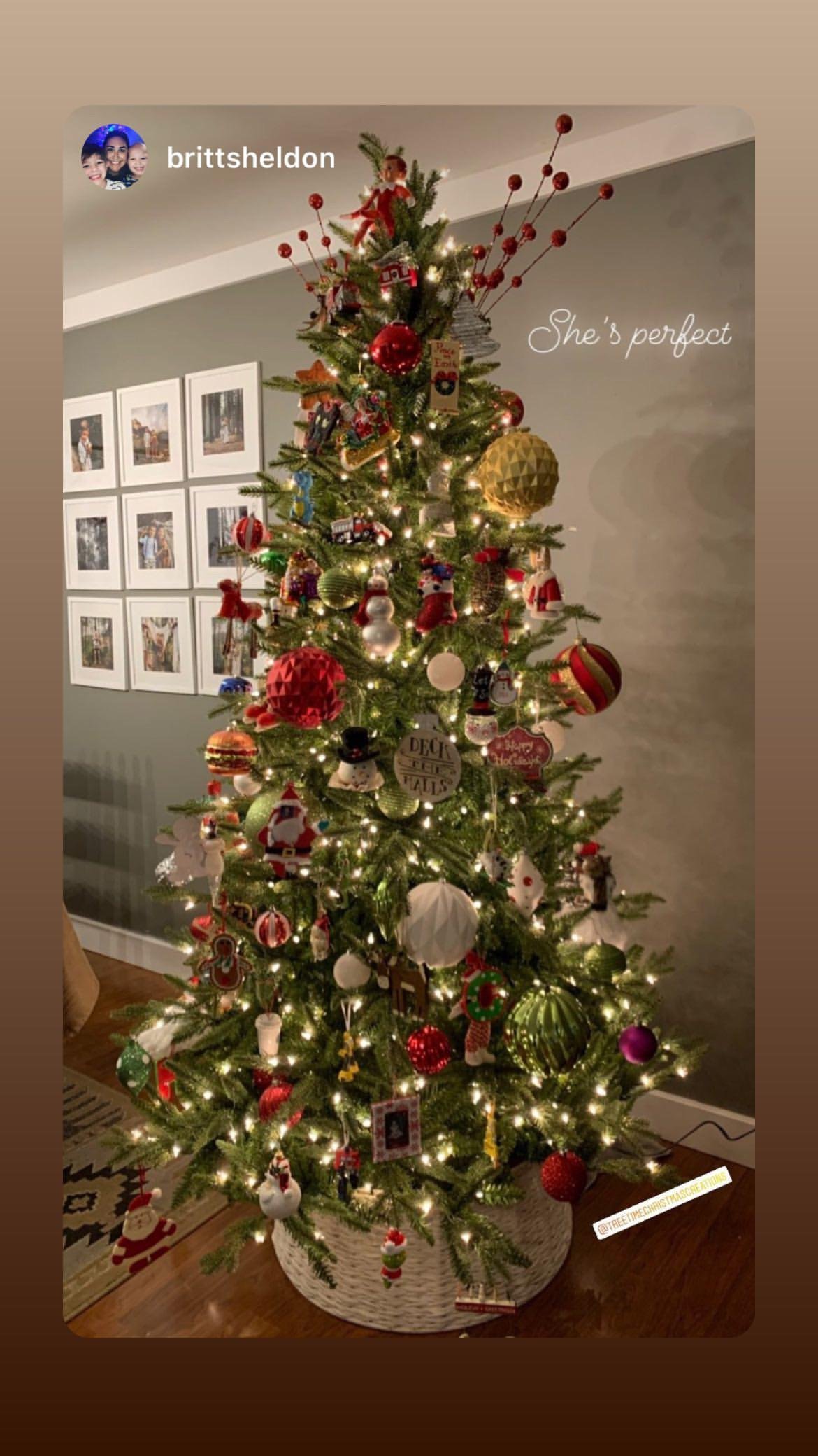 9' Sierra Mountain Spruce Tree - Unlit - Image 3