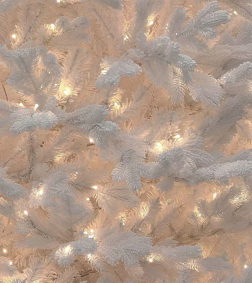Snowbound Spruce - Image 2