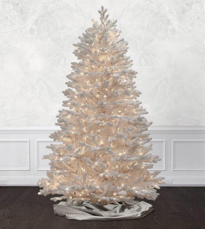 Snowbound Spruce - Image 4