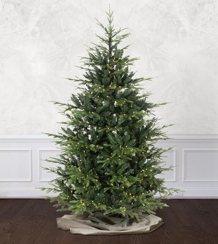 Western Balsam Fir - Image 10