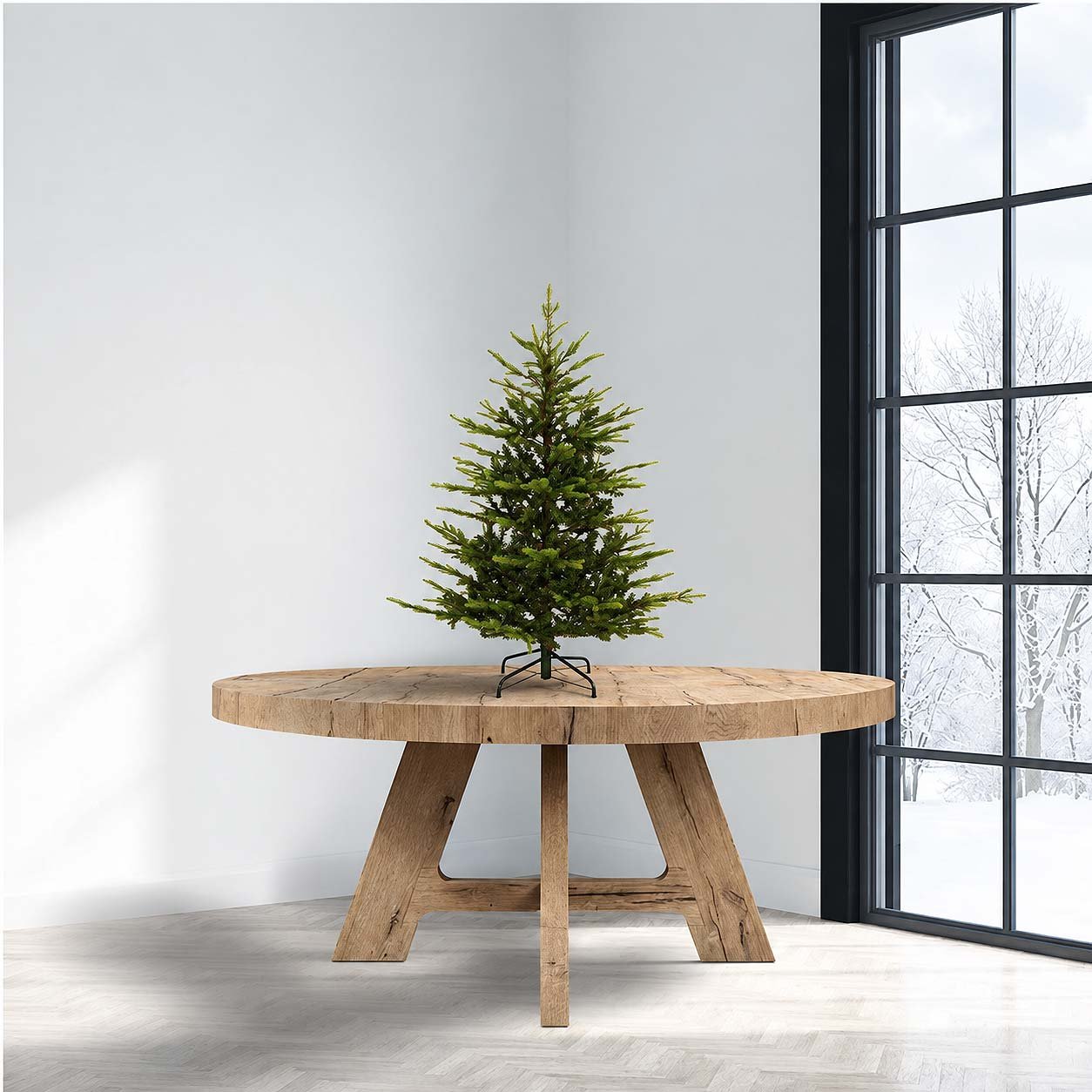 Western Balsam Fir - Image 12