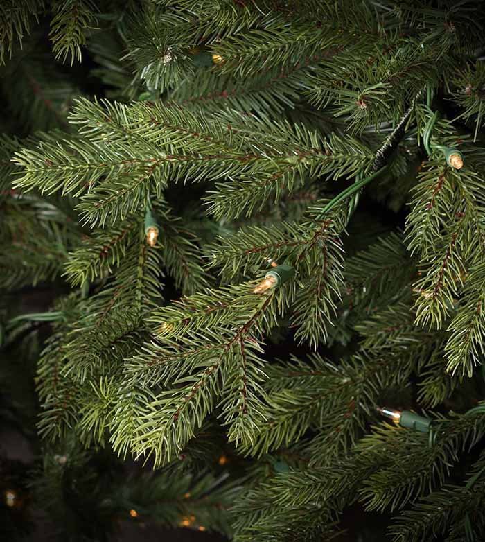 10' Midland Wexford Spruce - Clear LED - Image 2