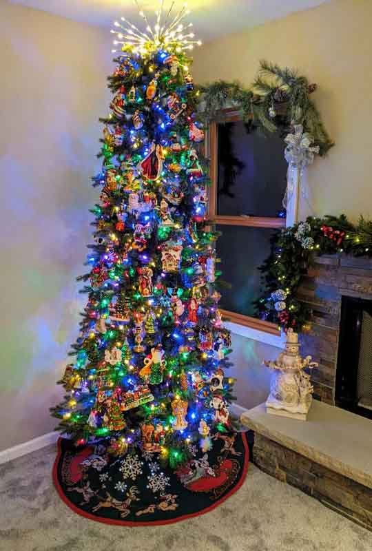 6.5' Slim Wexford Spruce Tree - Multi - Image 5